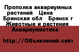 Прополка аквариумных растений › Цена ­ 300 - Брянская обл., Брянск г. Животные и растения » Аквариумистика   